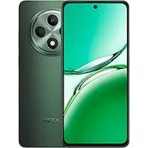 Oppo Reno12 FS Zubehör